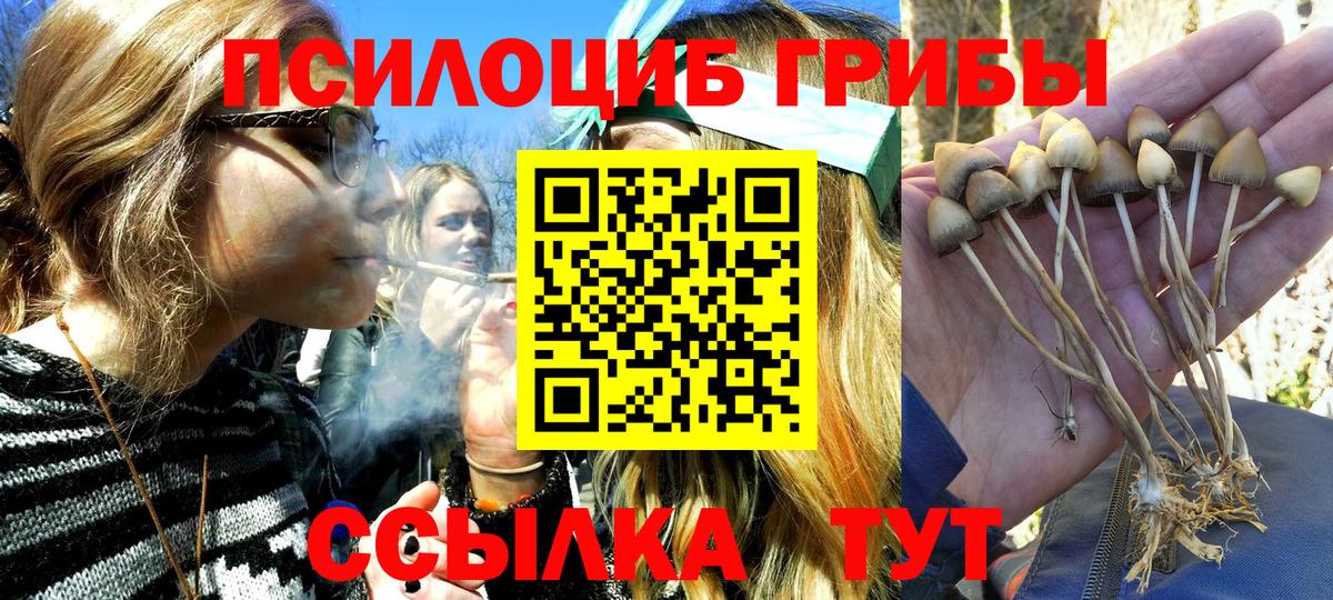 Нижний Тагил  Псилоцибиновые грибы GOLDEN TEACHER  Галлюциногенные грибы Cubensis  Вход с VPN 