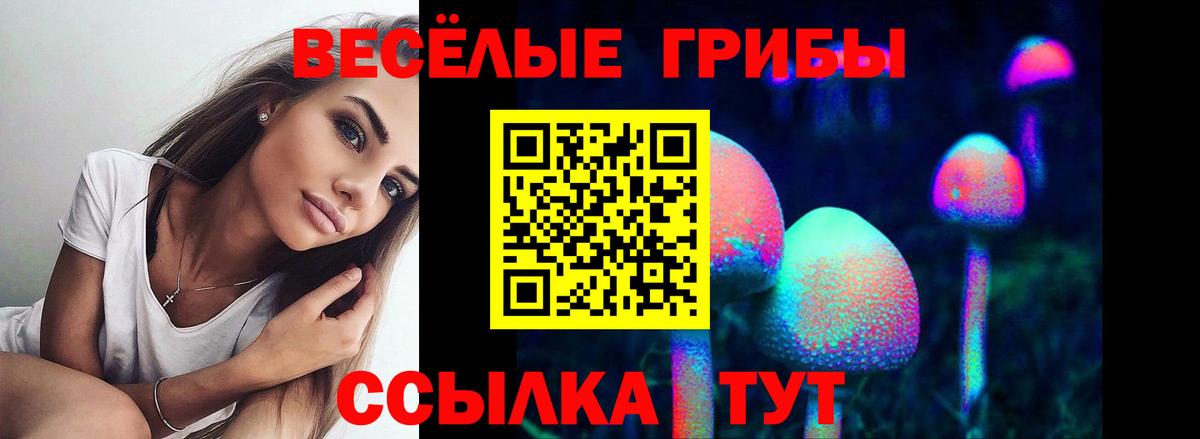 Галлюциногенные грибы прущие грибы Нижний Тагил